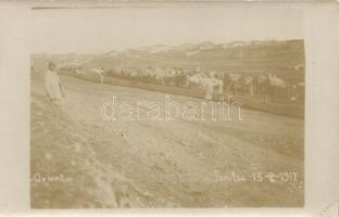 Giannitsa, Yenitsa; Caravan of Carts, probably with Soldiers, photo