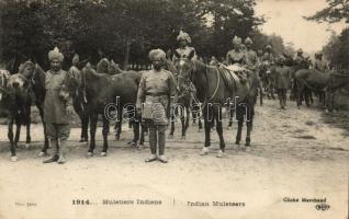 1914 Indian Muleteers, military