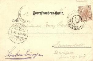 1899 Hradec nad Moravicí, Grätz litho (EB)