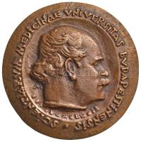 Madarassy Walter (1909-1994) 1969. "Semmelweis Ignác / Scientiarum Medicinae Universitas Budapestinensis / In Memoriam Fundationis Facultatis Medicinae" Br emlékérem (88mm) T:1- Hungary 1969. "Ignaz Semmelweis" Hungarian physician commemorative Br medallion. Sign: Walter Madarassy (88mm) C:AU HV 652.