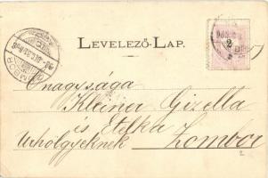 1898 Érsekújvár, Kossuth tér; kiadja, Mayer fényképész floral (EK)