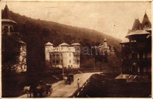 Szováta, fürdő / spa (fa)