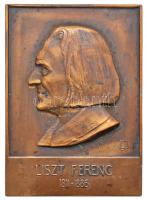 DN Liszt Ferenc 1811-1886 jelzett Br plakett (80x57mm) T:2- Hungary ND Franz Liszt 1811-1886 Br plaque with makers mark (80x57mm) C:VF