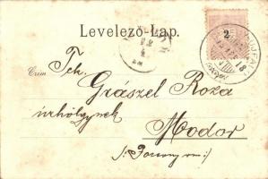 1898 Dévényújfalu, Devínska Nová Ves; Mészgyár, Kalkwerk. kiadja Duschinsky G. / lime factory (fl)