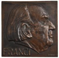 Renner Kálmán (1927-1994) DN "Franci" egyoldalas Br plakett (146x146mm) T:1-,2 Hungary ND "Franci" one-sided Br plaque. Sign.: Kálmán Renner (146x146mm) C:AU,XF