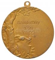 1929. "Szombathely 1929 VIII 25" aranyozott fém lövész díjérem "ARKANZAS BUDAPEST&quo...