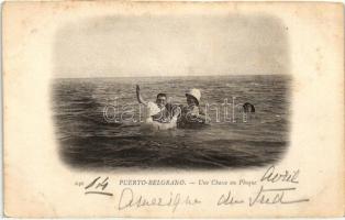 Puerto Belgrano, Une Chasse au Phoque / seal hunt (cut)