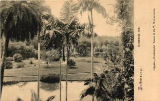 Bogor, Buitenzorg; botanical garden