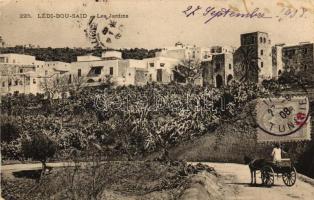 Sidi Bou Said, Lédi-Bou-Said; Jardins / garden