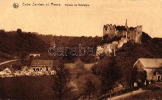 Chateau de Montaigle