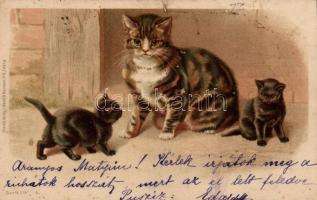 Cats, Wezel & Naumann Serie 214/5. litho (EK)