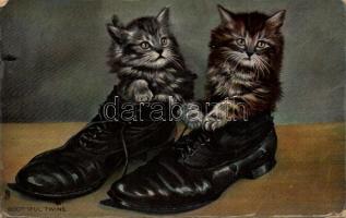 Boot-iful Twins / cats, boots, humour, Raphael Tuck & Sons Rapholette Glosso Series 8111. (fa)