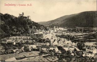 Senftenberg, town-view, castle ruins (fa)