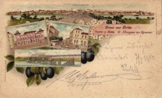 Brcko, Brcka; Hotel Posavina, Community center, train bridge, litho, floral (EB)