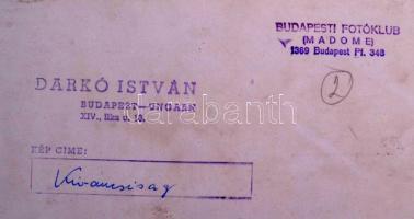 cca 1960 Darkó István: Kíváncsiság, pecséttel jelzett vintage fotóművészeti alkotás, 40x29 cm