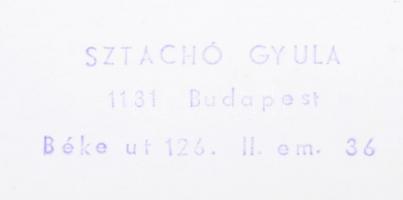 cca 1970 Sztachó Gyula: Vidáman, pecséttel jelzett vintage fotóművészeti alkotás, 30x40 cm