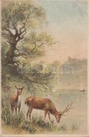 6 db RÉGI motívumképeslap, vadász, vegyes minőség / 6 old hunter motive postcard, mixed quality