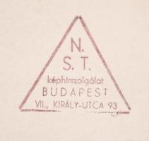 1940 (Nagy)Szalontai országzászló avatás Budapesten 1940 szept. 22-én, beszédet mond dr. Kiss Ferenc...