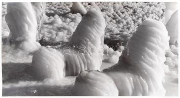 cca 1960 Krisch Béla (Kecskemét): A jég virága, pecséttel jelzett, feliratozott vintage fotóművészeti alkotás, sarkán törésvonal 21x39 cm