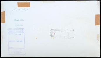 cca 1960 Krisch Béla (Kecskemét): A jég virága, pecséttel jelzett, feliratozott vintage fotóművészet...