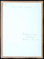 cca 1950 Medgyesi László (Kecskemét): Birsalma elrakás, feliratozott vintage fotóművészeti alkotás, ...