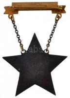 1953. "Sztahanovista" zománcozott fém kitüntetés T:2