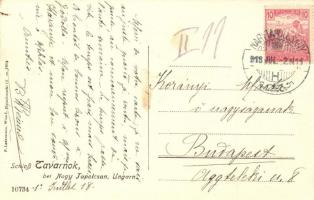 Tavarnok, Tovarniky; Kastély szobabelső / castle interior