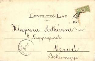 Lugos, Bonnáz utca, apácazárda. Nemes Kálmán kiadása / street, cloister (Rb)