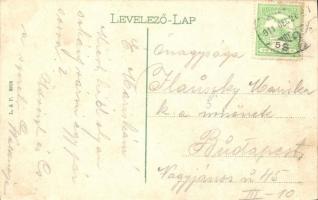 Temesvár, Gyárváros; Béga-részlet, új híd / bridge