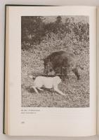 Páll Endre: A vaddisznó és vadászata. Bp., 1982, Mezőgazdasági Kiadó. Egészvászon kötésben