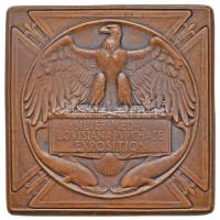 Amerikai Egyesült Államok 1904. &quot;Saint Louis-i Kiállítás&quot; kétoldalas Br plakett (67mm) T:2 USA 1904. &quot;Saint Louis Exposition&quot; two-sided Br plaque &quot;VNIVERSAL EXPOSITION SAINT LOVIS VNITED STATES OF AMERICA - MCMIV / SILVER MEDAL LOVISIANA PVRCHASE EXPOSITION&quot; (67mm) C:XF