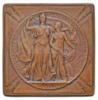 Amerikai Egyesült Államok 1904. "Saint Louis-i Kiállítás" kétoldalas Br plakett (67mm) T:2...