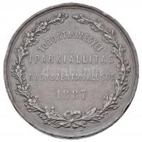 1887. "Torontálmegyei Iparkiállítás Nagyszentmiklóson" fém emlékérem (40mm) T:2- ph.
Hung...
