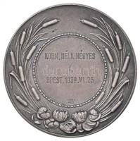 Berán Lajos (1882-1943) 1926. "Magyar Evezős Szövetség" jelzett Ag díjérem "BERÁN N B...