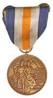 Amerikai Egyesült Államok DN New York Állam / Polgári Hatóságok Szolgálatában érem Nemzeti Gárda Br kitüntetése mellszalagon (34mm) T:2 USA ND State of New York / Service in Aid of Civil Authorities National Guard Br medal with ribbon (34mm) C:XF