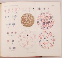 Schmidt, Adolf, Lüthje, Hugo.: Klinische Diagnostik und Propädeutik innerer Krankheiten. Leipzig, 19...