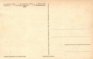 Az orgoványi erdőben; fehér terror / In the wood of Orgovány; left wing propaganda, Judaica s: Bíró ...