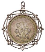 DN "Anne Frank 1929-1945" jelzetlen Ag emlékérem, jelzett Ag keretben (a keret: 0.925; Br:...