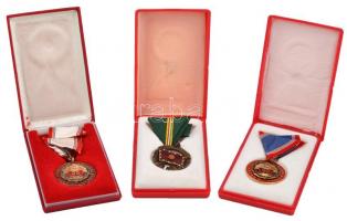 ~1970. "A Haza Fegyveres Szolgálatában" 20 és 25 év, zománcozott fém kitüntetések mellszal...