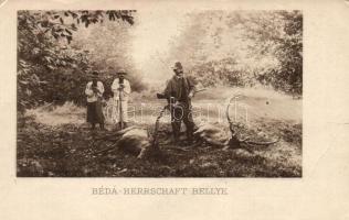 Bellye, Bilje; hunting party, hunter with shot down deer (EB)