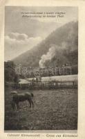 Kőrösmező, Jaszinya, Yasinia; Vöröskereszt-vonat a Kevelei völgyben / Red Cross train, valley (EK)