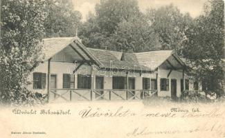 1899 Bikszád, Móricz lak / house