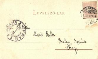 1899 Budapest XIV. Városligeti tó, litho s: Rosenberger (EK)