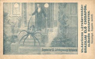 Budapest XIV. Városliget, Emléklap a Brazíliai élő csodapóktól / Brazilian wonder spider, circus advertisement