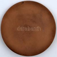 1973. "KISZ - Mi a szocializmust és a kommunizmust építjük" Br plakett (105mm) T:2