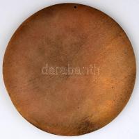 ~1970. "Testvéri Fegyverbarátságunk Megbonthatatlan" Br plakett (105mm) T:2