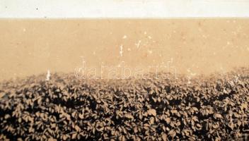 1902 Őfelsége Ferenc József és kísérete Királyhidán a katonai tábor meglátogatásán. A fotón Ferenc J...