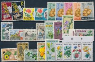 Flower, nature 1961-1977 13 sets + 12 individual values, Virág, termés motívum 1961-1977 13 klf sor + 12 klf önálló érték 2 db stecklapon