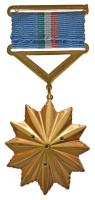 1974. "Béke és Barátság Érdemrend" aranyozott, zománcozott Ag kitüntetés mellszalaggal, cs...