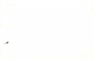 Kolozsvár, az első magyar repülő érkezése emlékére, a vitéz Szentkirályi Dezső nevű Malért repülőgép...